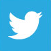 Tweeter share button